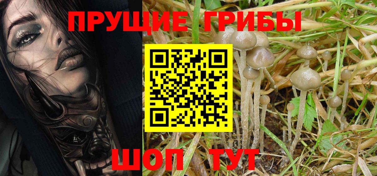 Полевской  Псилоцибиновые грибы Psilocybe  Вход с VPN  Галлюциногенные грибы MAGIC MUSHROOMS 