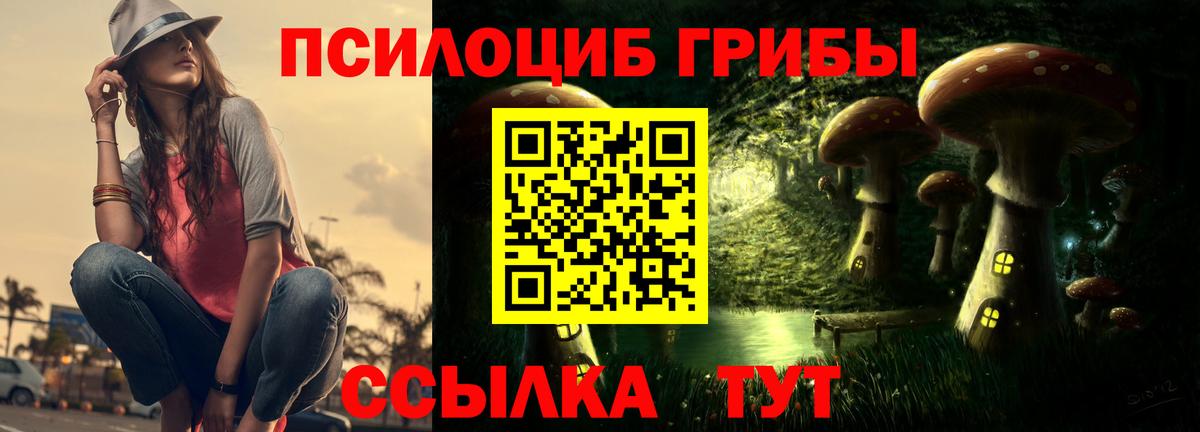 Галлюциногенные грибы мицелий Полевской